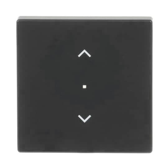 BJ Wippe 1f Jalousie schwarz 6232-10-885 matt Busch-free@home future linear