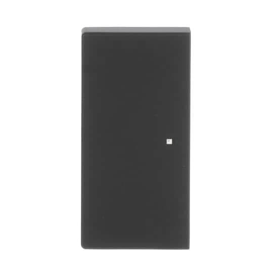 BJ Wippe 2f schwarz matt 6230-20-885 Busch-free@home future linear