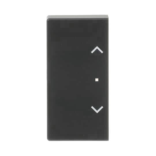 BJ Wippe 2f Jalousie schwarz 6232-20-885 matt Busch-free@home future linear