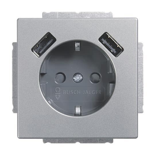 BJ Schuko/USB Steckdose 20 EUCB2USB-866 pur USB-Ladestation edelst