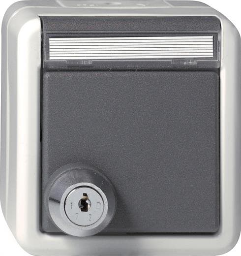 GIRA 456730 SCHUKO-Steckdose Klappdeckel Schloss sortiert+BSF WG AP IP44 Grau