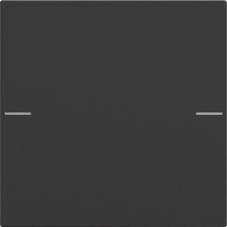 GIRA 5751005 Wippenset 1fach Tastsensor4 System 55 Schwarz matt (lackiert)