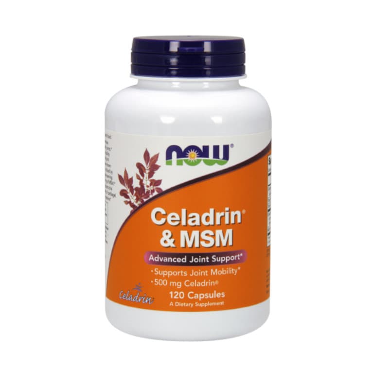 Regeneracja Stawów Kompleks Now Foods Celadrin & MSM 500 mg 120kaps